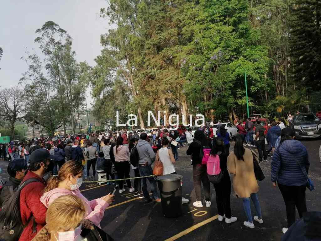 Del 17 al 21 de enero aplicarán la vacuna a maestros