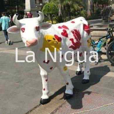 La vaca de Orizaba ya está comprometida 1 img 20220126 wa00953462730892229616742
