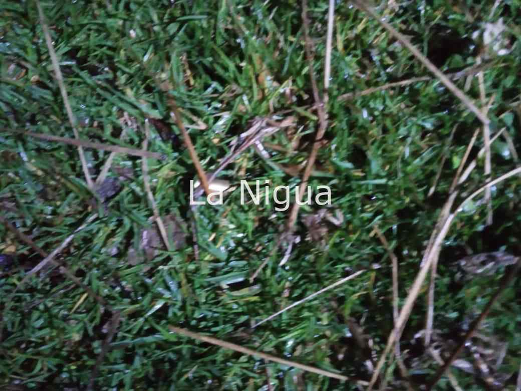 Ebrio impacta auto estacionado en el centro de Coscomatepec. 6 img 20220130 wa00174483726157031304410