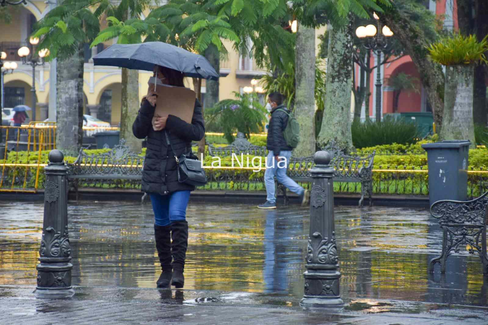 Continúa alerta por Frente Frío y lluvias 2 img 20220208 wa00196542898526741057918