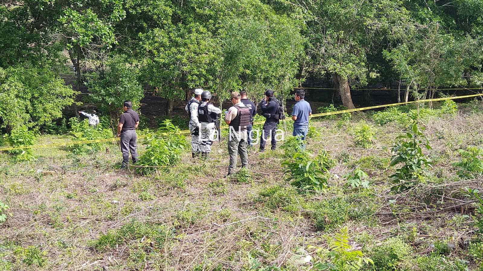 Localizan un cuerpo en las inmediaciones de la zona militar en Coatzintla 2 img 20220209 wa00015287990719462825418