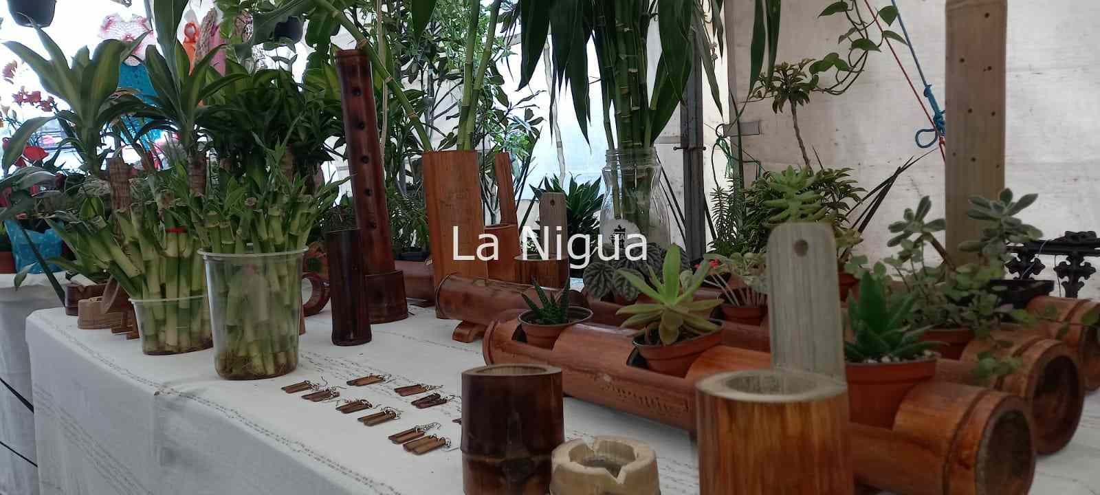 img 20220211 wa0117912043404887271900