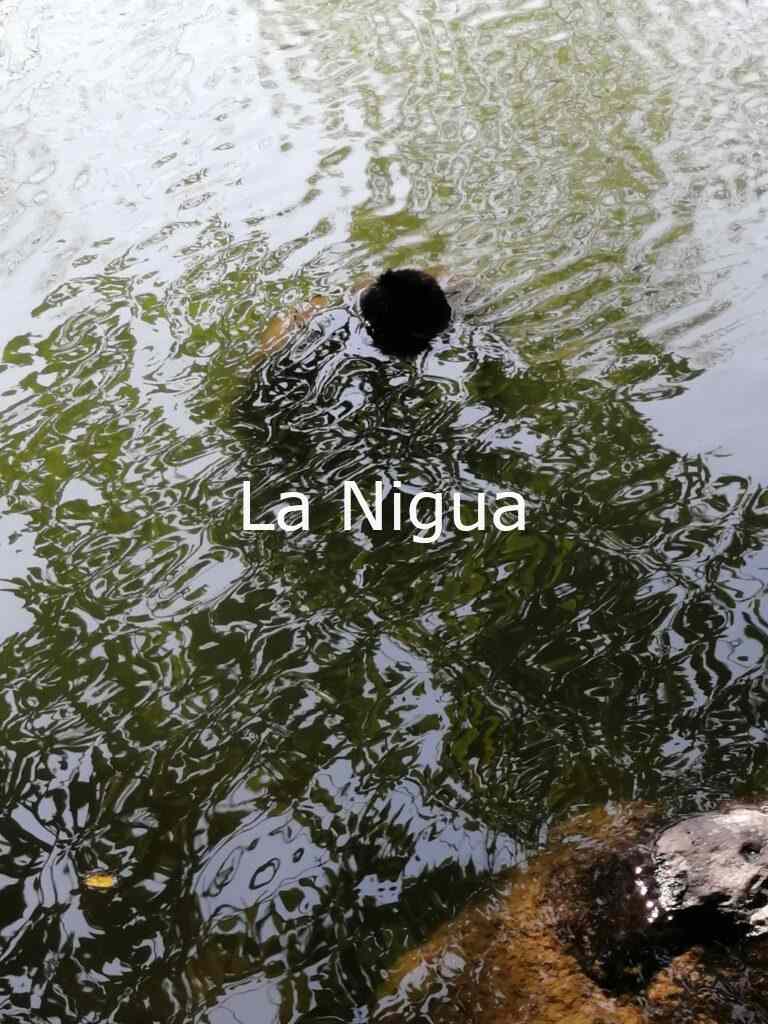 Encuentran cuerpo flotando en el Río Bobos