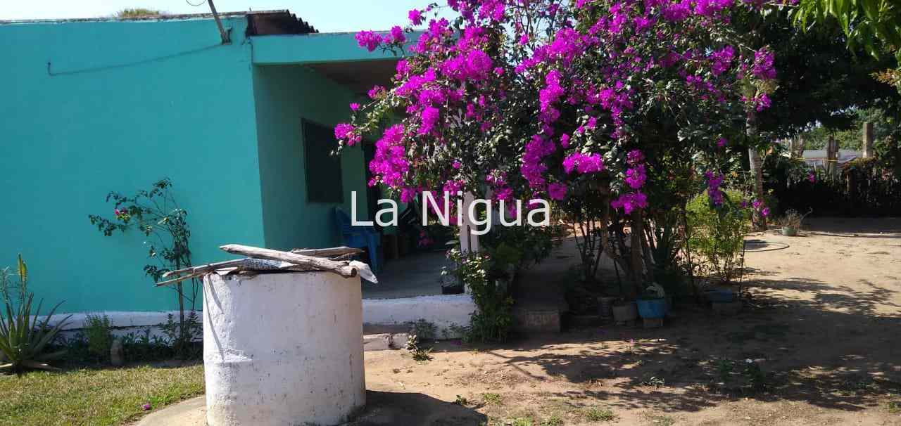 Matan a dos primos en La Peña, comunidad de Acayucan 4 img 20220222 wa00384402628250255399977