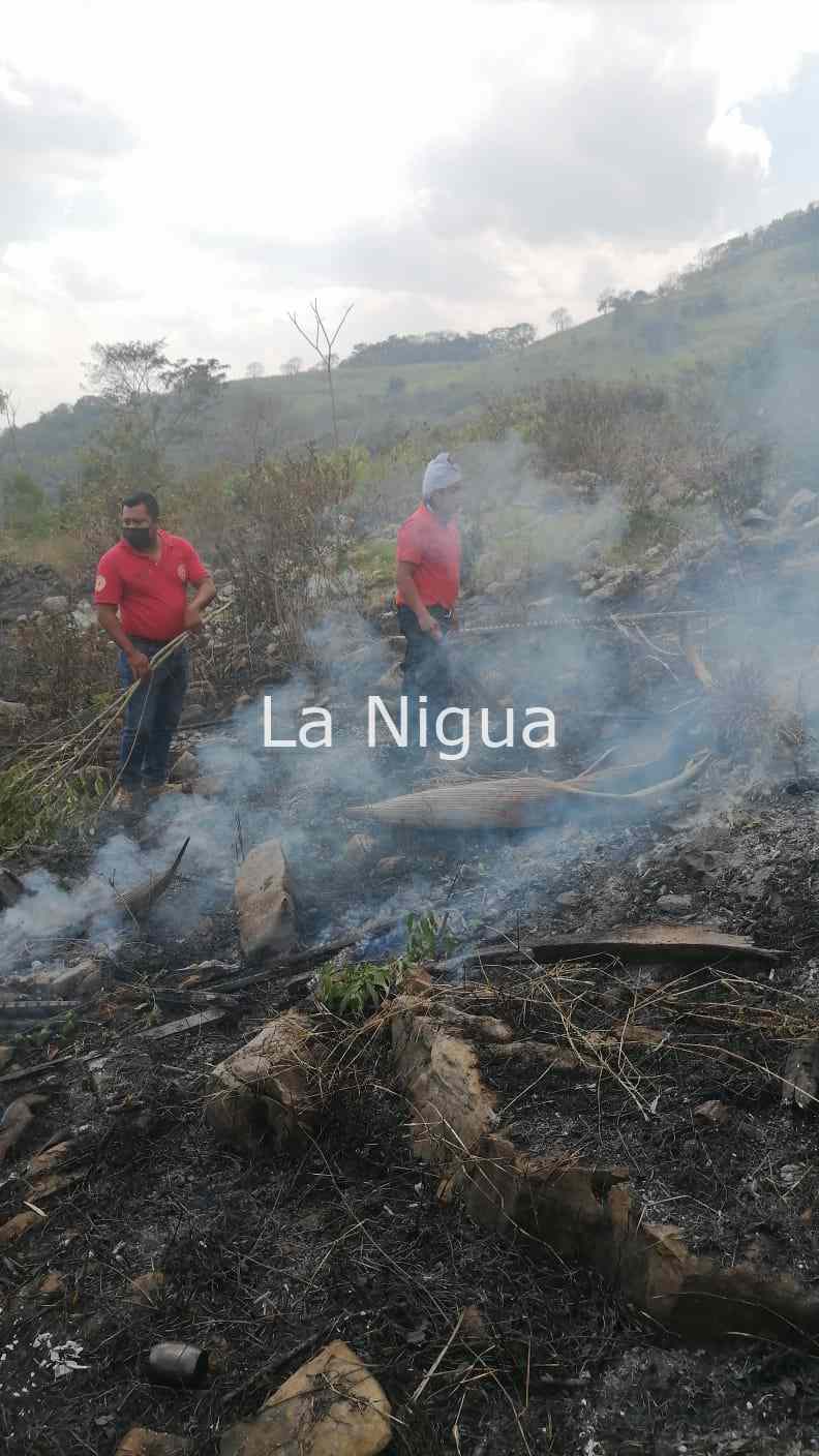 Atiende PC incendio en El Albión, Atoyac 3 img 20220303 wa02337543333006725580798