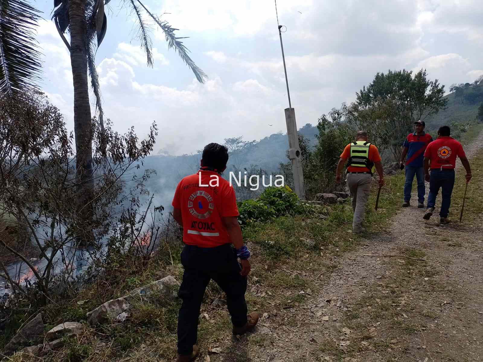 Atiende PC incendio en El Albión, Atoyac 1 img 20220303 wa02367571983677892665447