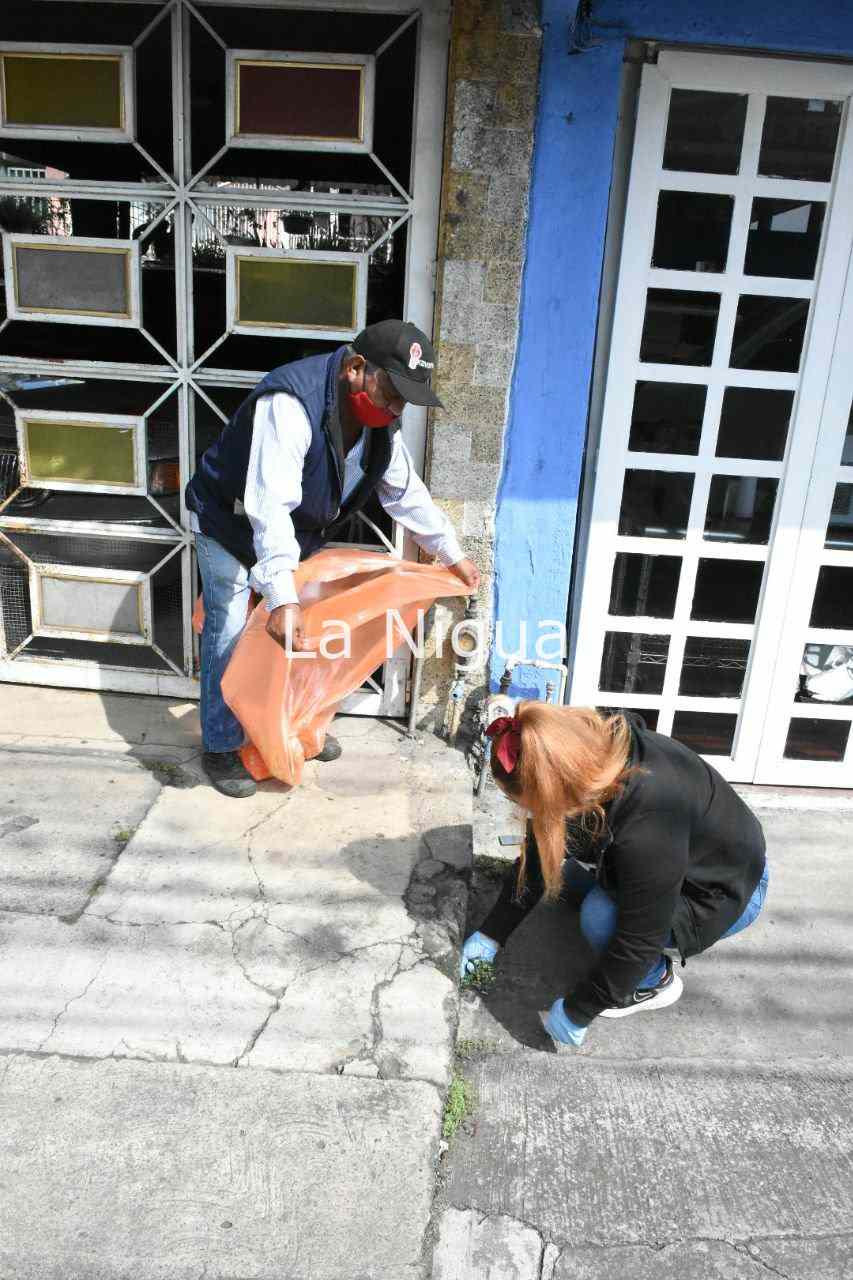 Colorea a Fortín proyecto "Renace Especial de Arte Callejero" 5 img 20220305 wa00223453409041535299426