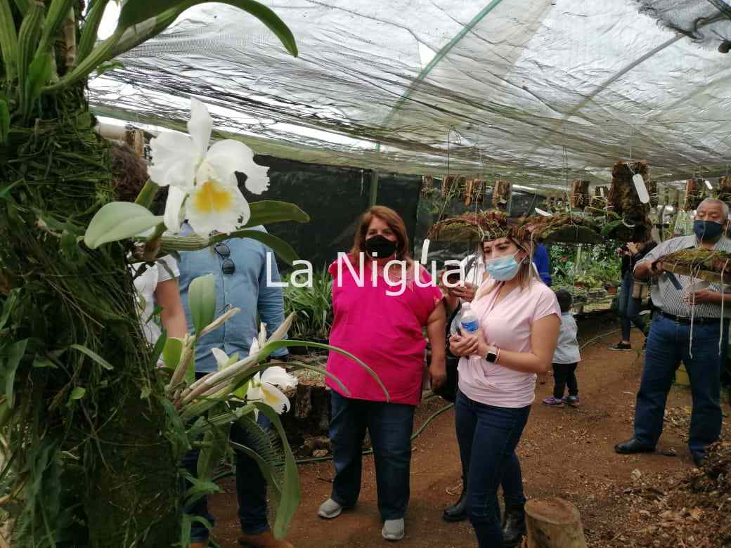 Impulsará Ayuntamiento de Córdoba ecosustentabilidad en comunidades <br> 2 img 20220305 wa00644577422517536701481