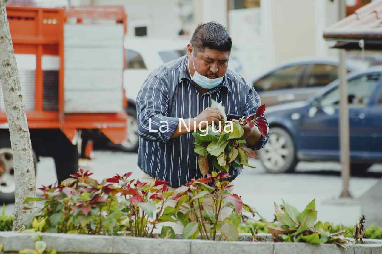 LIMPIAN ÁREAS VERDES EN COSCOMATEPEC 8 img 20220309 wa0017626904041300585754