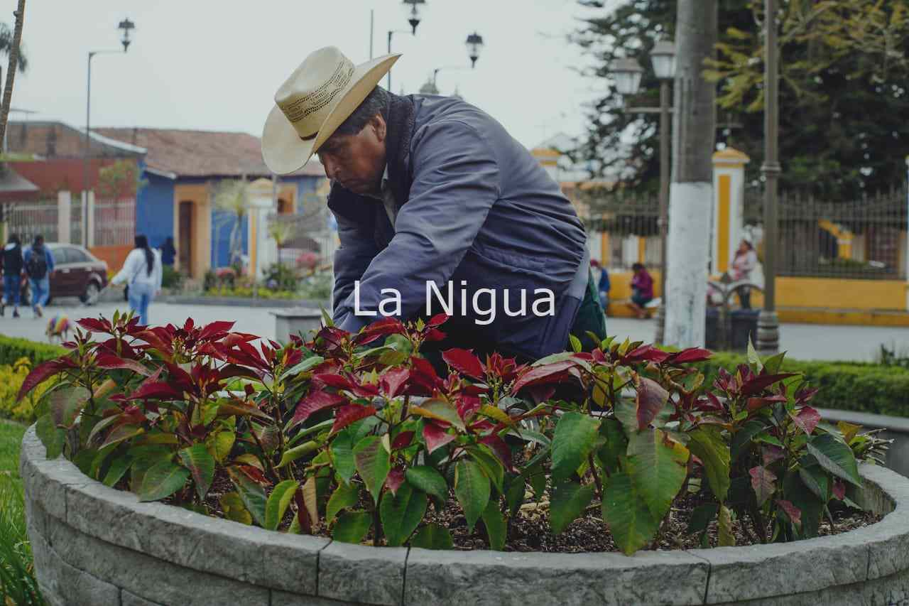 LIMPIAN ÁREAS VERDES EN COSCOMATEPEC 6 img 20220309 wa00184296483098826548103