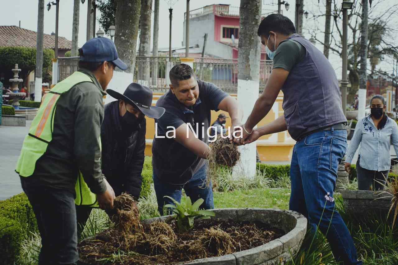 LIMPIAN ÁREAS VERDES EN COSCOMATEPEC 7 img 20220309 wa00195411898325982868286