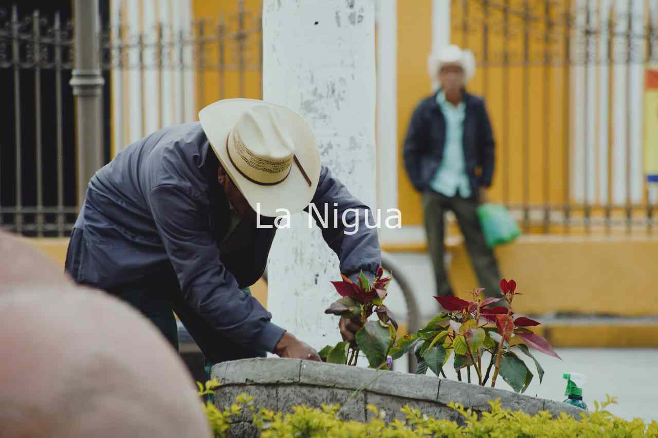 LIMPIAN ÁREAS VERDES EN COSCOMATEPEC 5 img 20220309 wa00221540143680586883970