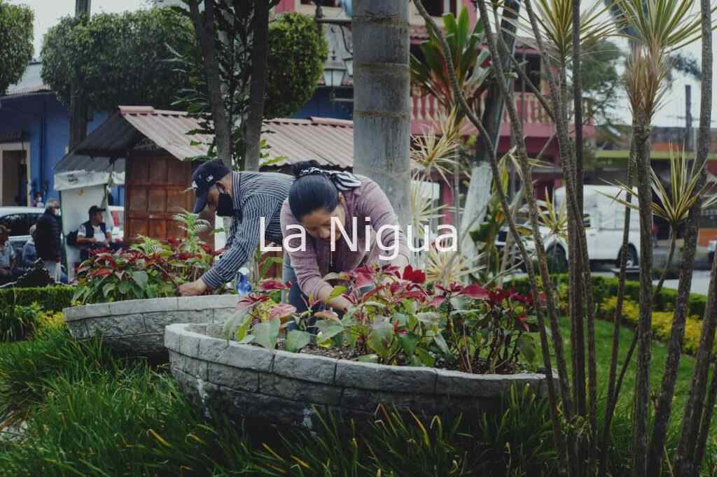 LIMPIAN ÁREAS VERDES EN COSCOMATEPEC