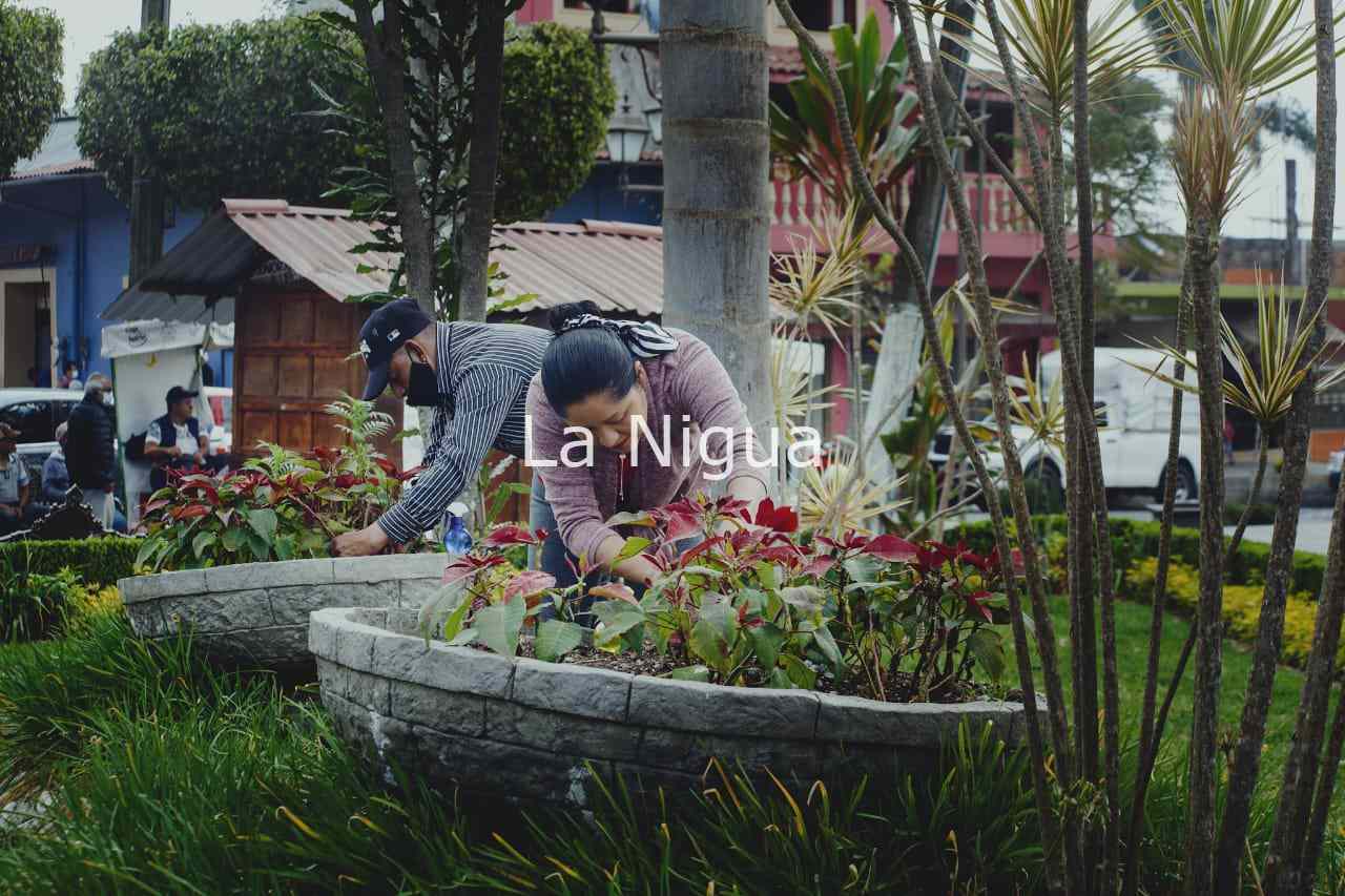 LIMPIAN ÁREAS VERDES EN COSCOMATEPEC 1 img 20220309 wa00235380302174209615201