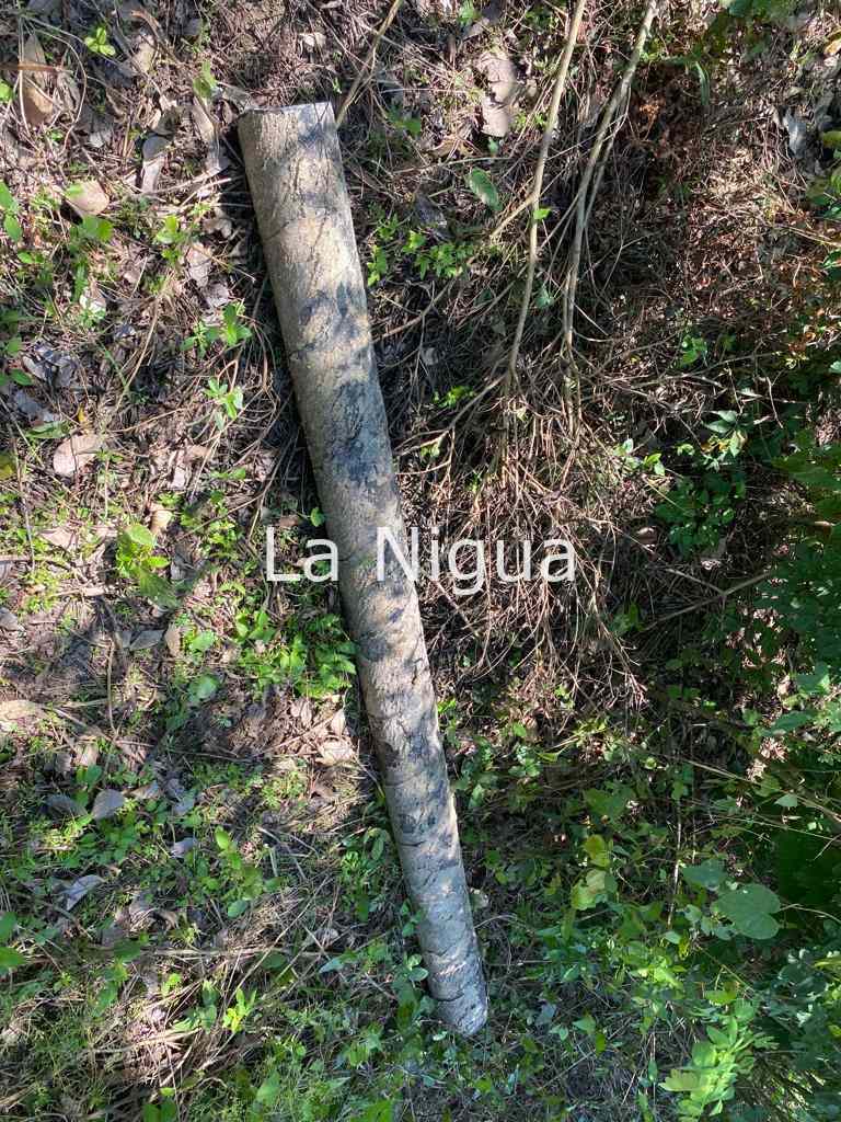 Aseguran a una persona cuando cortaba tubería de PEMEX en Coatzintla 4 img 20220312 wa00616703399117488679339