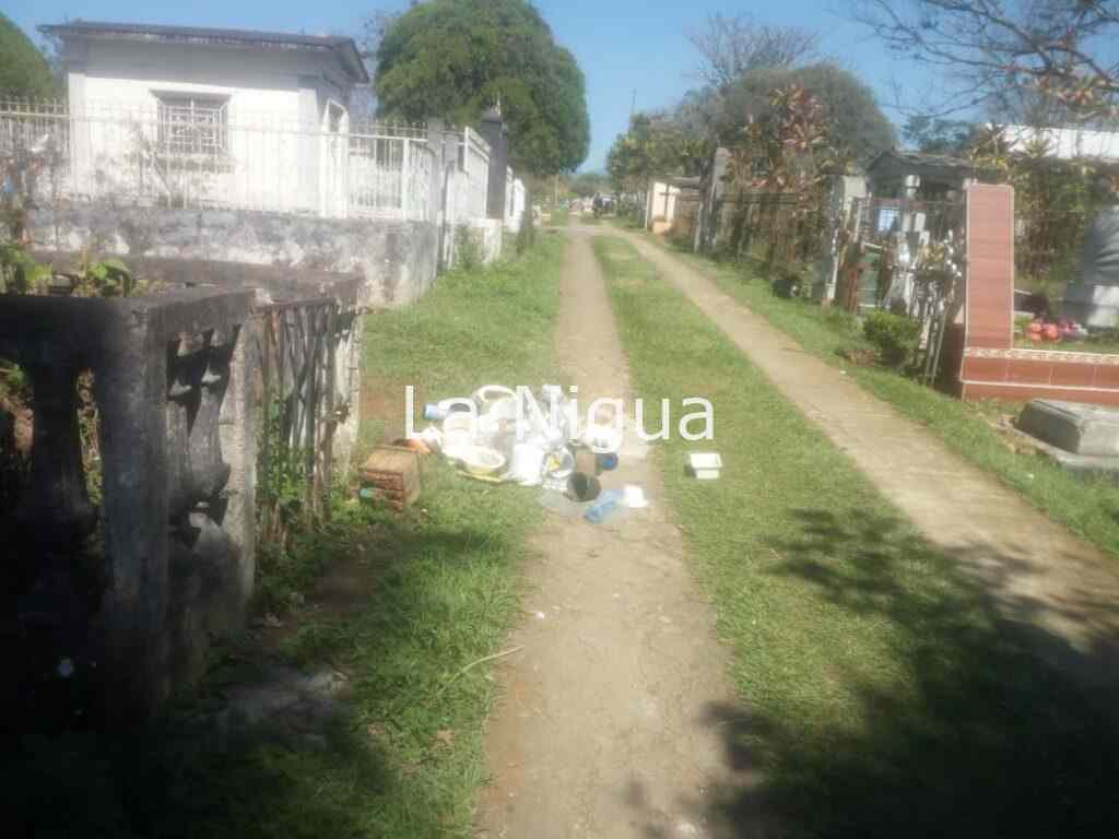 Retiran mil criaderos del mosco transmisor de dengue del panteón municipal.