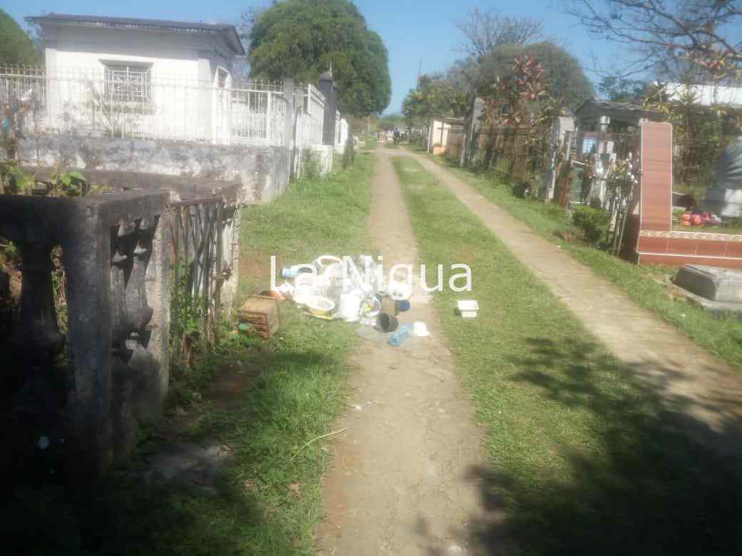 Retiran mil criaderos del mosco transmisor de dengue del panteón municipal. 2 img 20220320 wa00346088200725657393579