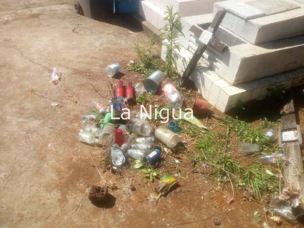 Retiran mil criaderos del mosco transmisor de dengue del panteón municipal. 3 img 20220320 wa00361721413656531348921