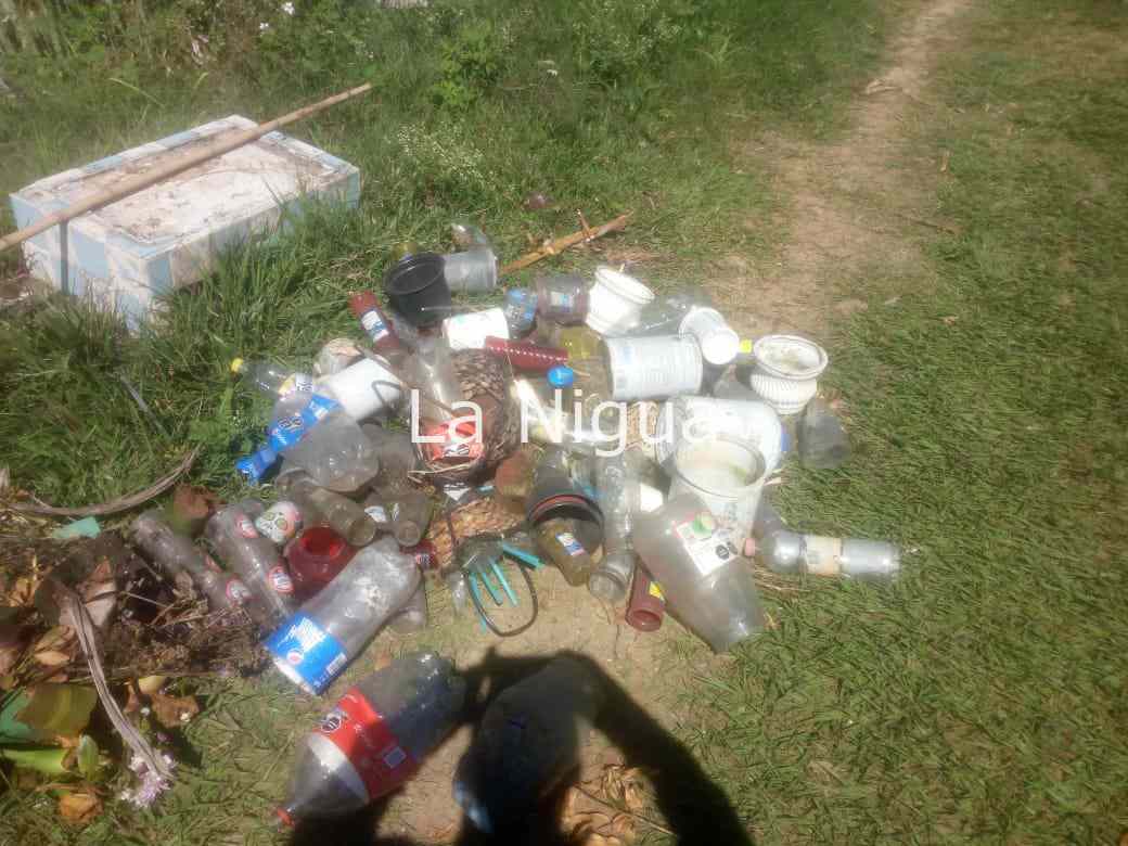 Retiran mil criaderos del mosco transmisor de dengue del panteón municipal. 4 img 20220320 wa00373209925490189311577