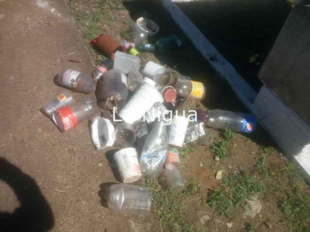 Retiran mil criaderos del mosco transmisor de dengue del panteón municipal. 1 img 20220320 wa00381808293069204465347