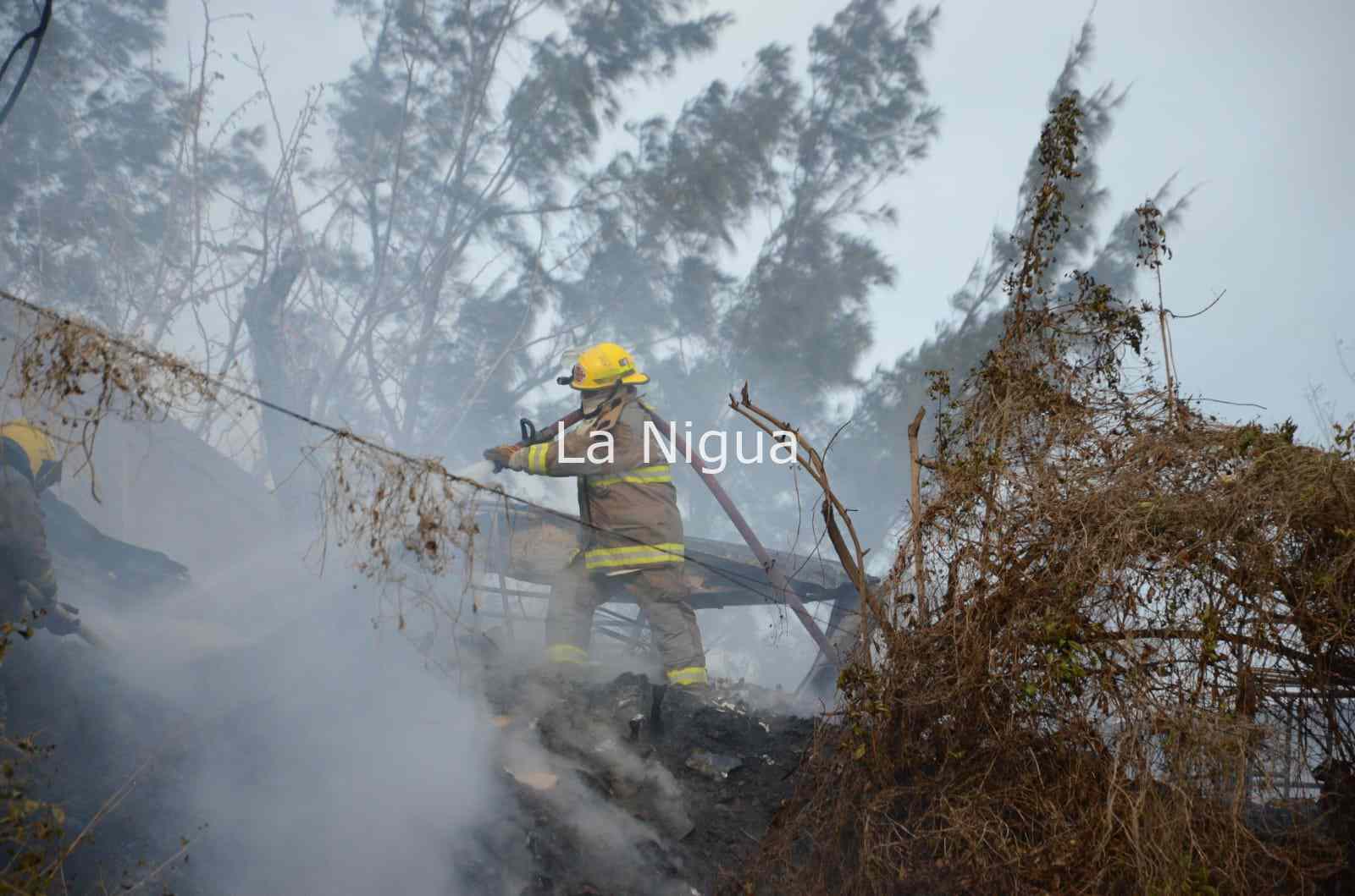Dos casas consumidas por el fuego y un perrito muerto en Boca del Río 2 img 20220324 wa00142455624498063293469