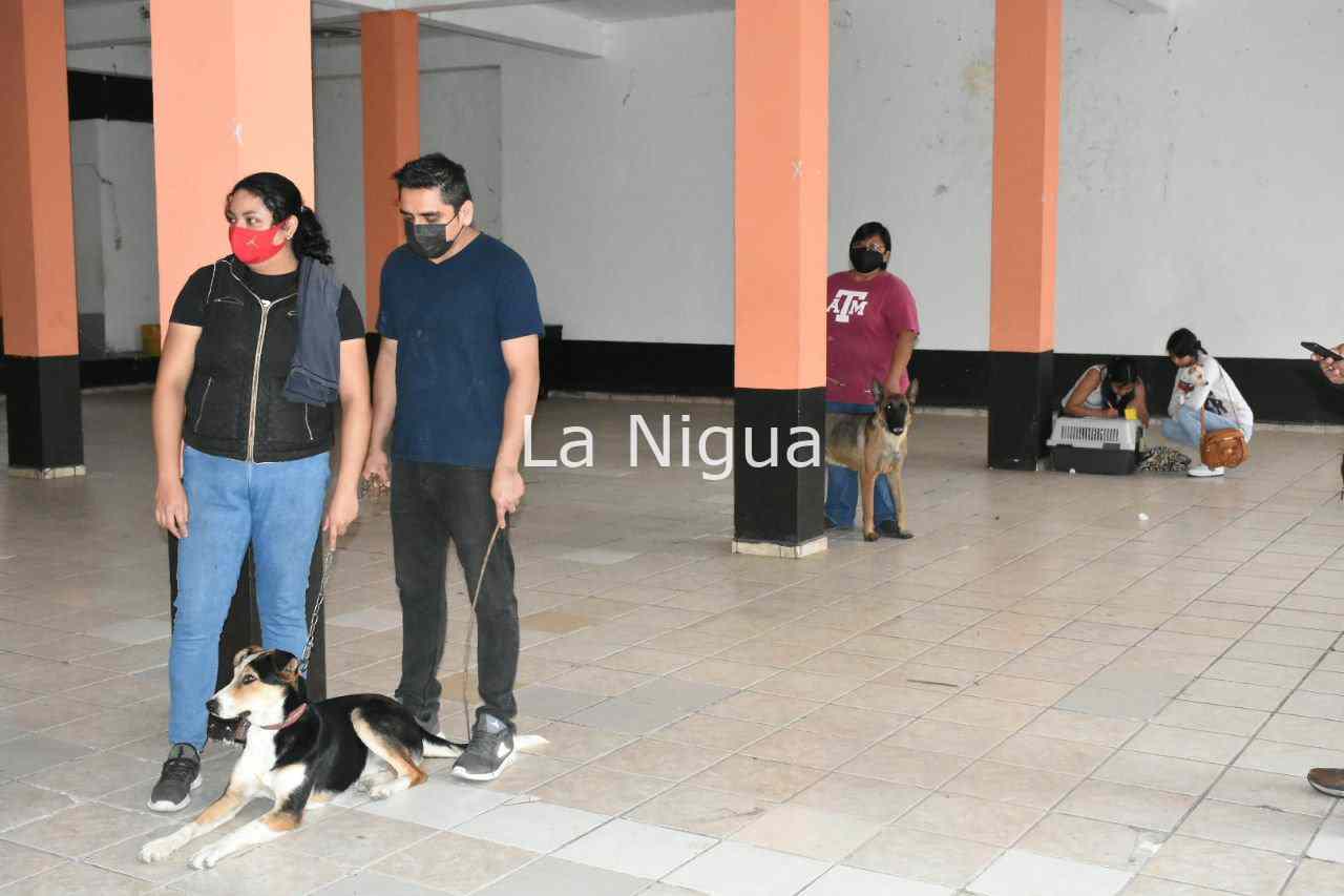 Esterilizan a perros y gatos en Monte Blanco 4 img 20220324 wa00392517542423798288833
