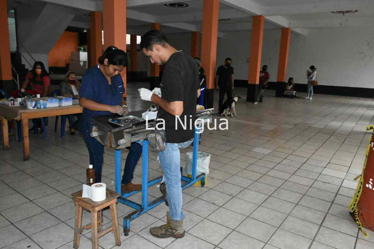 Esterilizan a perros y gatos en Monte Blanco 1 img 20220324 wa00425480822354159103678