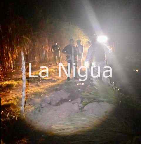 Aseguran SSP y GN dos tomas clandestinas de hidrocarburo en José Azueta 2 img 20220324 wa00808955609381191804460