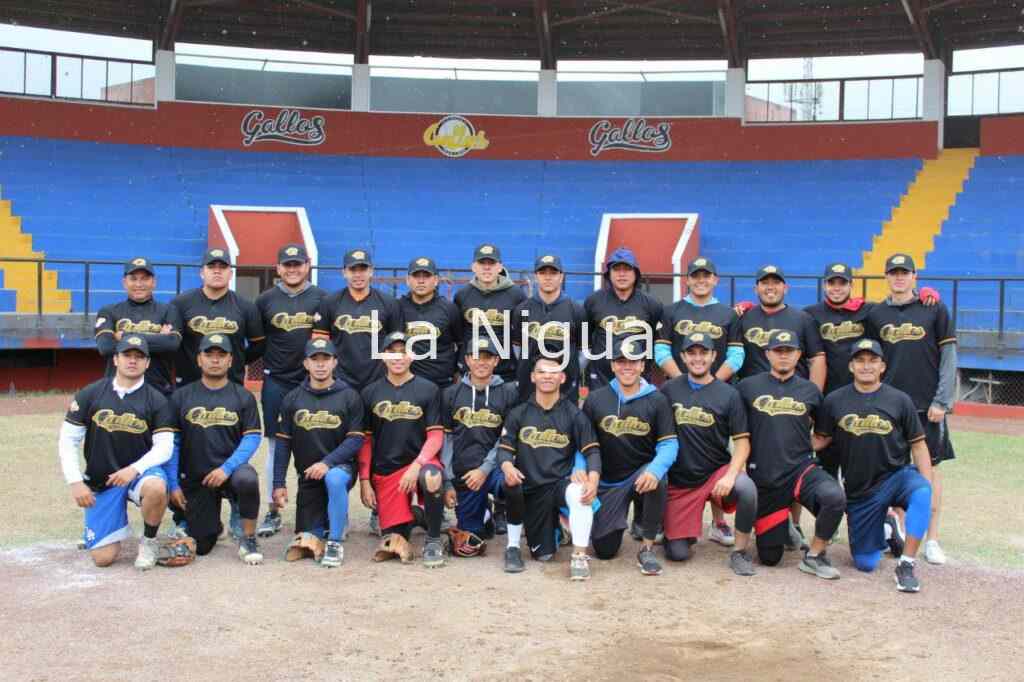 Gallos de Santa Rosa favoritos en “Copa Veracruz 2022”