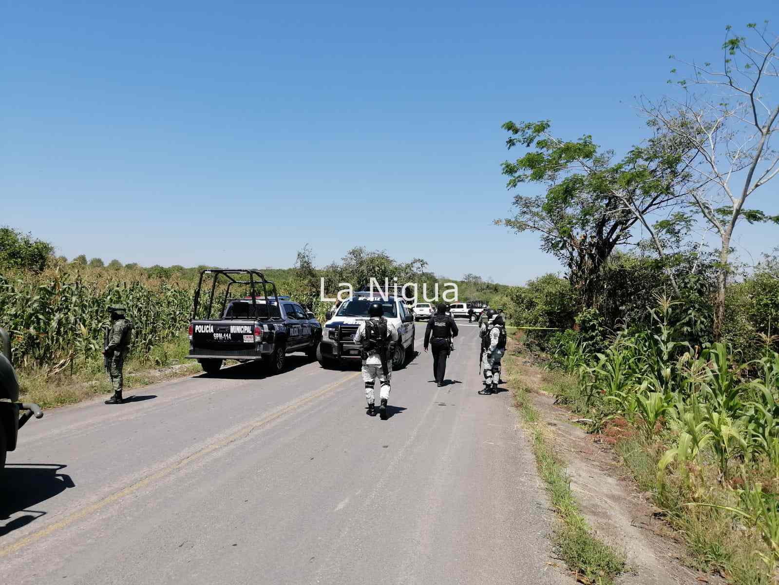 Son identificadas las personas, que fueron descuartizadas en Papantla 5 img 20220326 wa00904810022918638439678