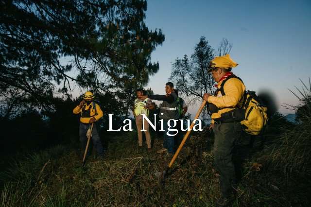 SOFOCAN INCENDIOS EN COSCOMATEPEC 6 img 20220401