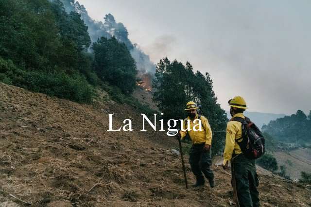 SOFOCAN INCENDIOS EN COSCOMATEPEC 8 img 20220401