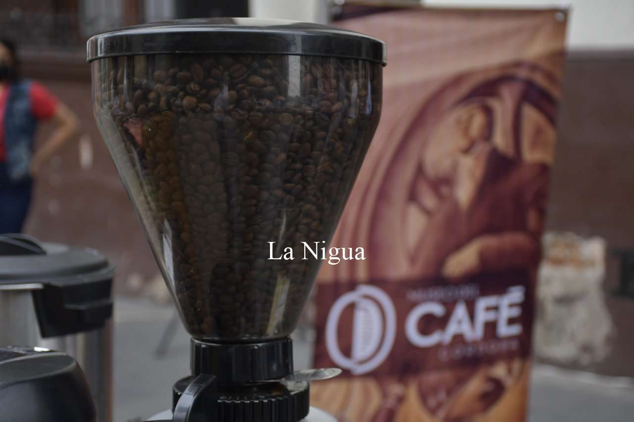 Realiza Museo del Café torneo amistoso entre Baristas de la ciudad 2 img 20220402 wa00126742358352294237020