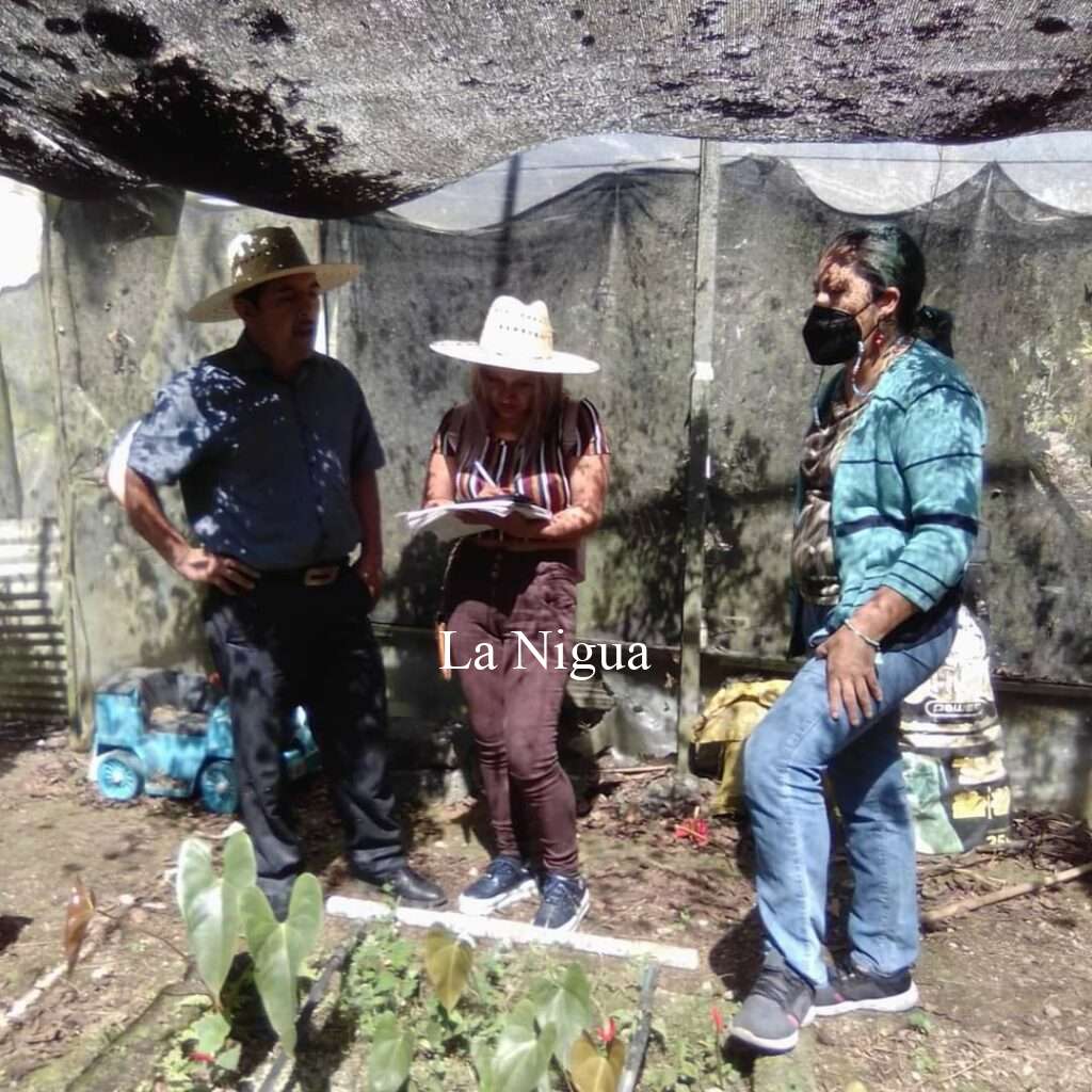 Busca Fomento Agropecuario aterrizar proyectos viables a través de Censo de Agrícola 1 img 20220403 wa00183874515915349072477