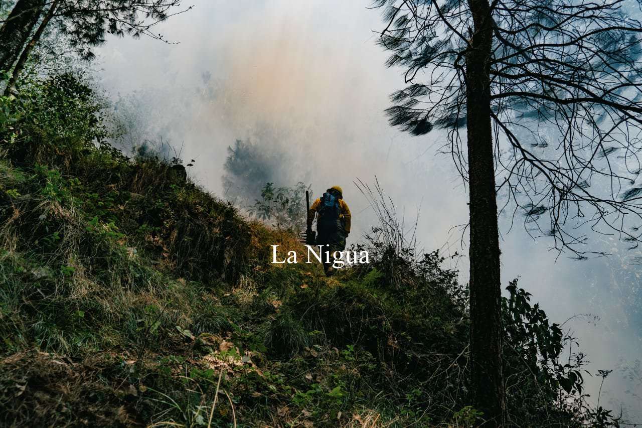 COMBATEN DOS NUEVOS INCENDIOS EN COSCOMATEPEC 5 img 20220405 wa00521247013036039314445