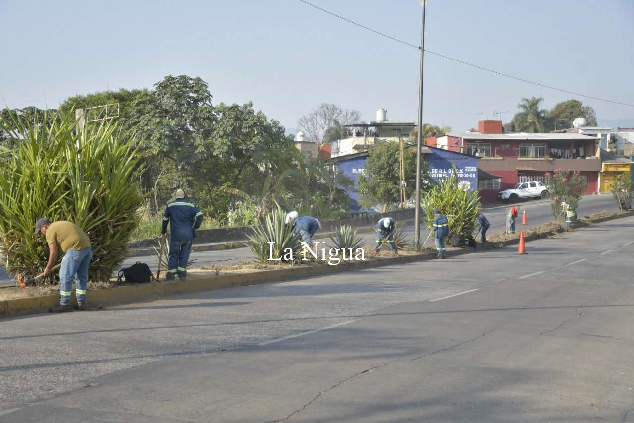 Inicia Parques y Jardines mantenimiento a bulevares de Córdoba 2 img 20220405 wa00743920774456885568677