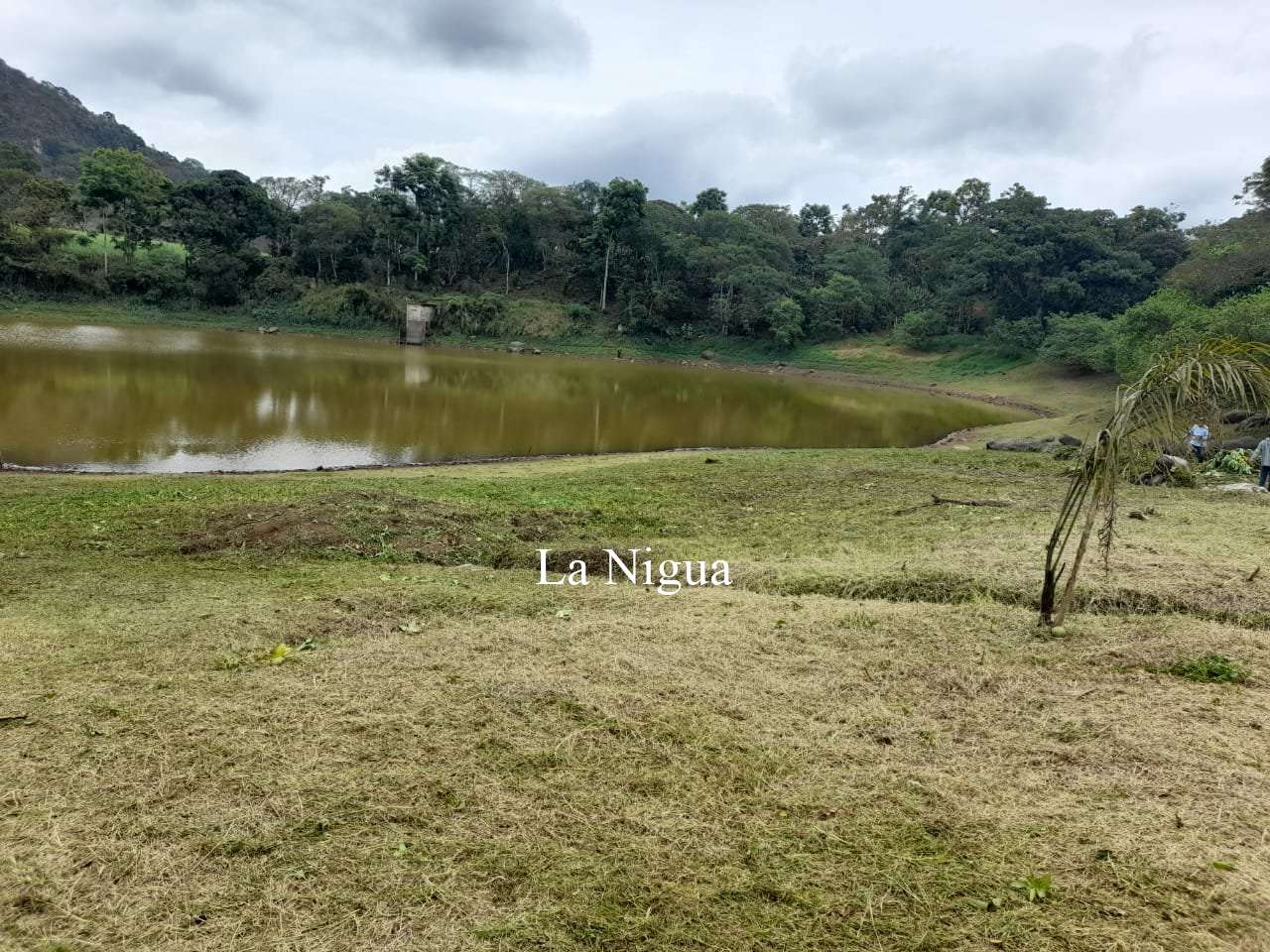 Realizan limpieza de la laguna del Tule 1 img 20220408 wa00542584938843367202557