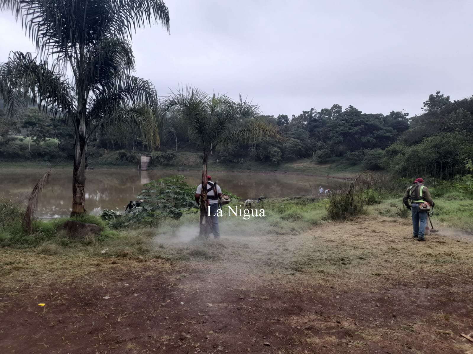 Realizan limpieza de la laguna del Tule 3 img 20220408 wa00563756502246894984848