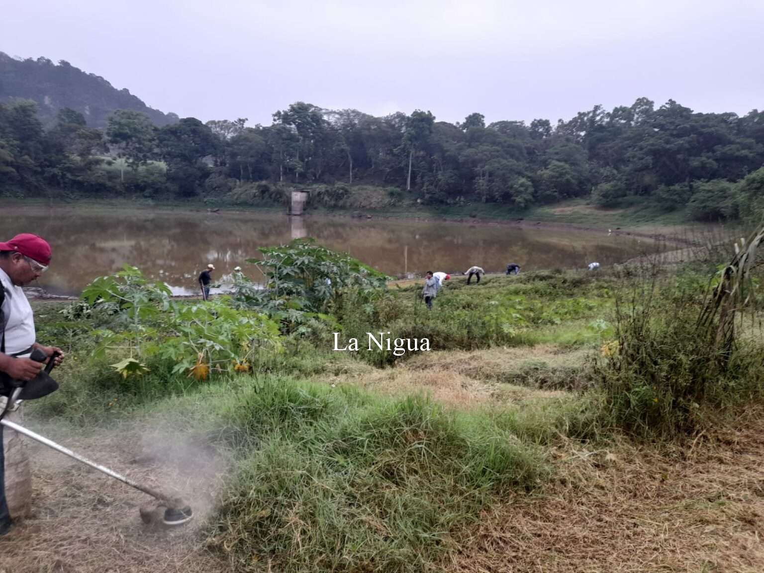 Realizan limpieza de la laguna del Tule