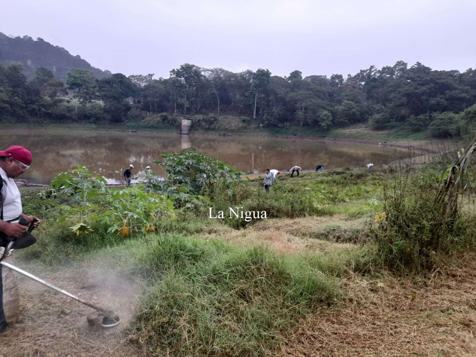 Realizan limpieza de la laguna del Tule 2 img 20220408 wa00573614300777131634081
