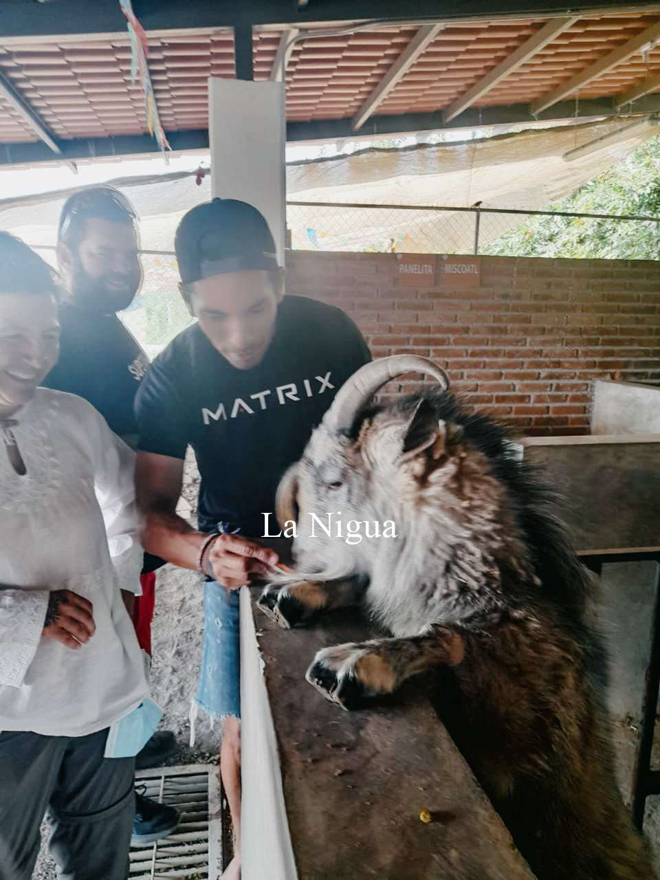 PROYECTO ‘SUPERHUMAN’ CRUZA POR COSCOMATEPEC 5 img 20220408 wa00737632926495285083159