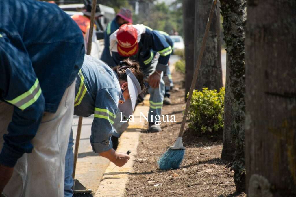 En funcionamiento 98 por ciento de semáforos en Córdoba tras programa correctivo