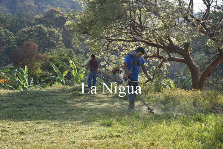 DIF Córdoba realiza brigada "Atendiendo con Amor a la Familia" para población vulnerable 11 img 20220412 wa00476108110056629640935