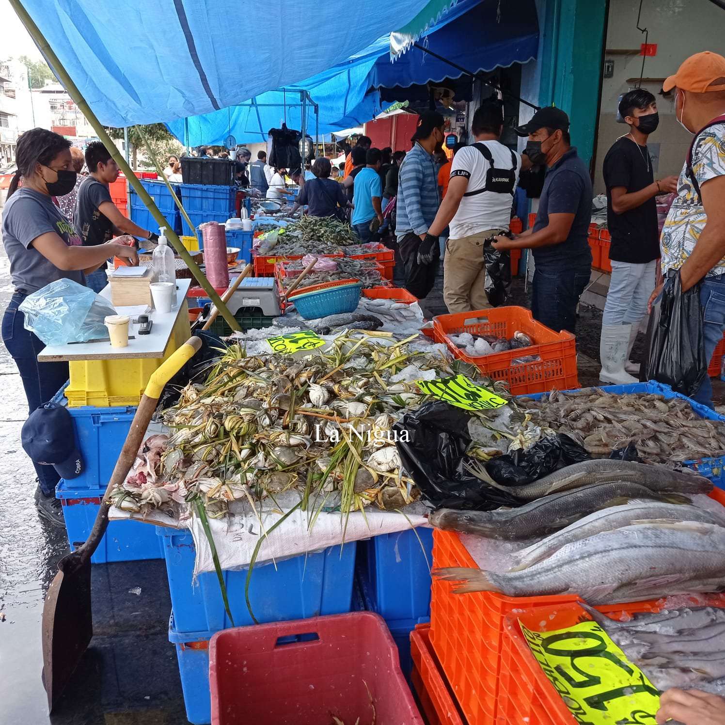 Durante la cuaresma estuvieron bajas las ventas de mariscos 5 img 20220414 wa00101778120472046928899