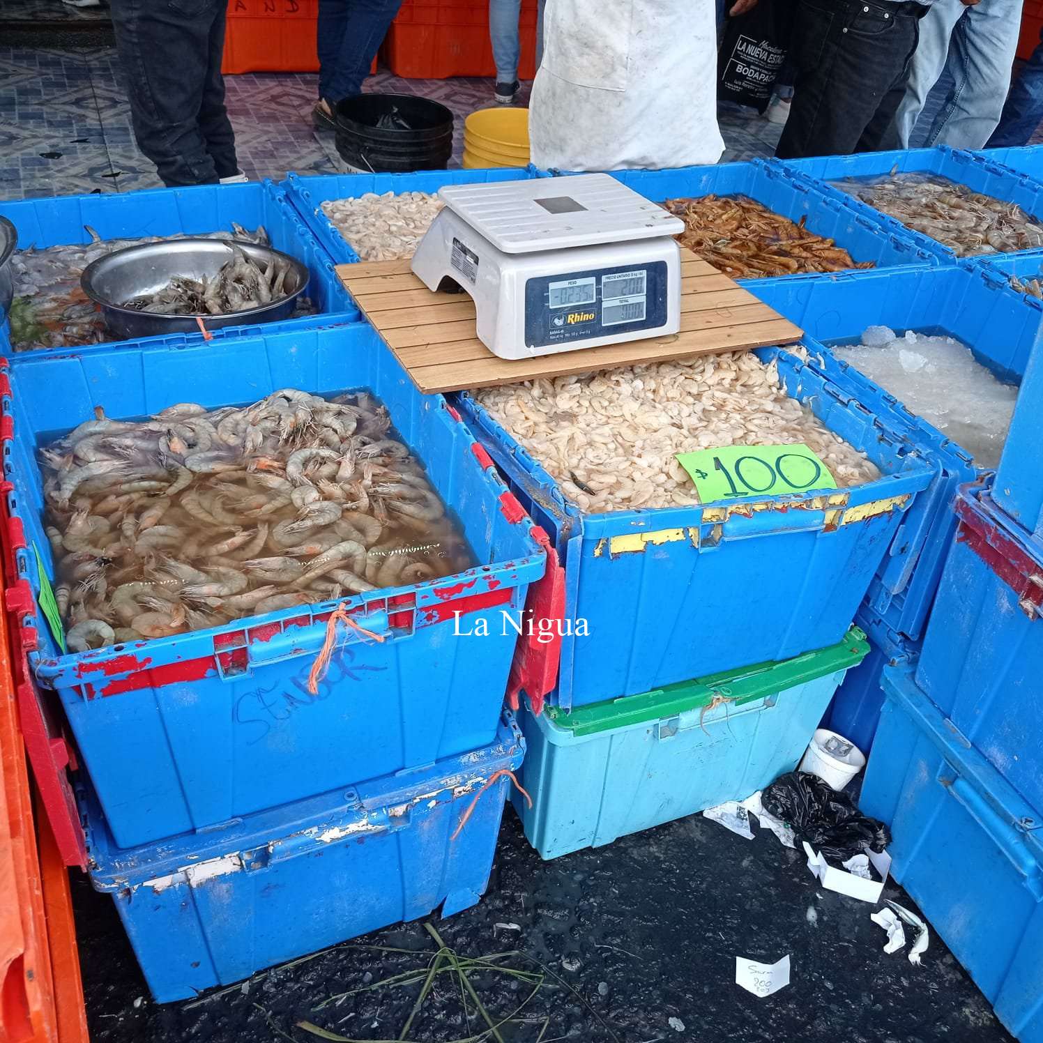 Durante la cuaresma estuvieron bajas las ventas de mariscos 3 img 20220414 wa00119142454172849551429