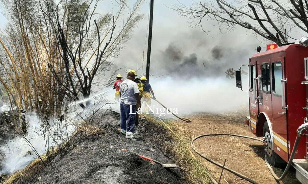 Sofoca PC incendio de pastizal en colonia San José 6 img 20220414 wa00443451953826096996832