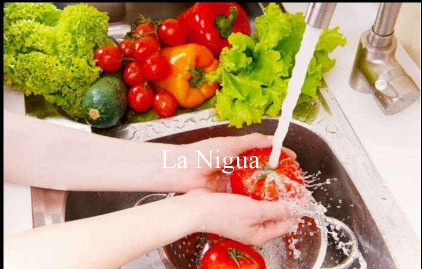 Alerta IMSS Veracruz Sur por enfermedades gastrointestinales 4 img 20220416 wa00243334849383833356748