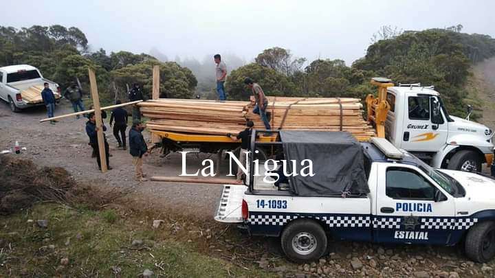 Aseguran madera ilegal en el Cofre de Perote 7 img 20220416 wa00276277498972372573203