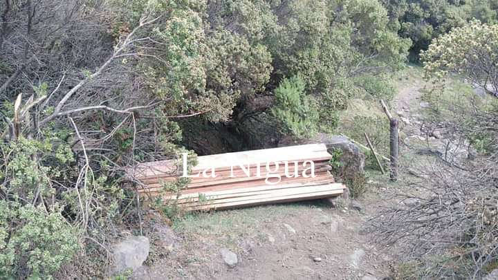 Aseguran madera ilegal en el Cofre de Perote 6 img 20220416 wa00318241942451249219593
