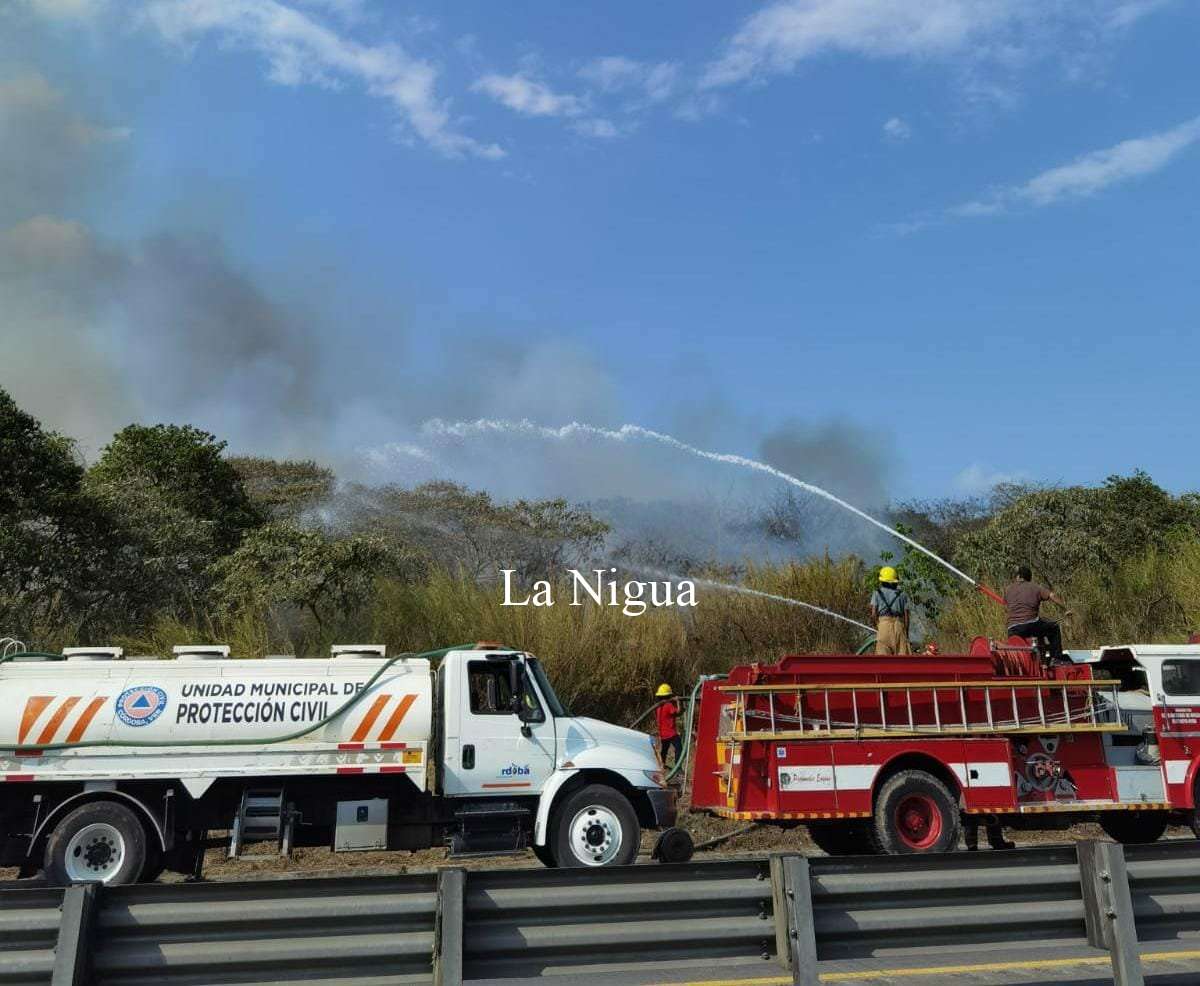 Concluye operativo "Semana Santa Segura" con saldo blanco 3 img 20220419 wa00219031036126699038056